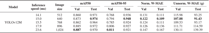 YOLOv12M at different resolutions