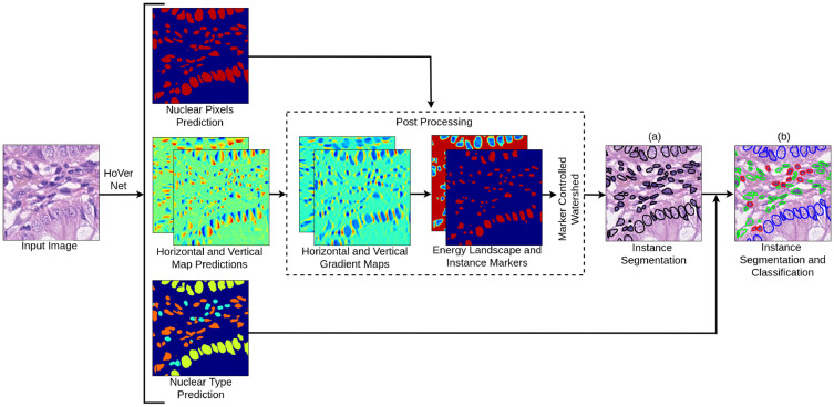 OverviewNucleiSegmentationClassification.jpg
