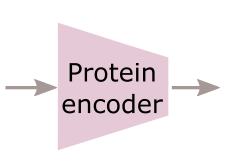 target_encoder.png