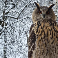 Mike Diskin's profile picture