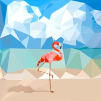 Dongliang Chang's profile picture