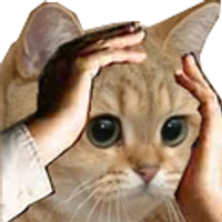 Michał Zobniów's profile picture