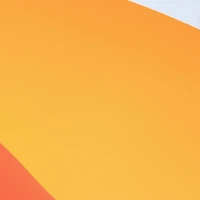 XLNet community's profile picture