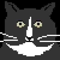 Ivan Lazarevich's profile picture