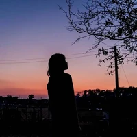 lucen zhong's profile picture