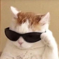 Hao Zhang's profile picture