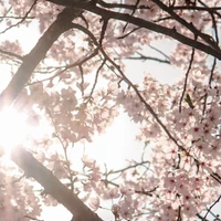 Gabriel Yang's profile picture