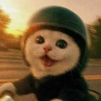 Ting Sun's profile picture