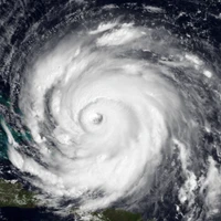 Richard Ren's profile picture