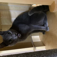 WECOVER_teamB's profile picture