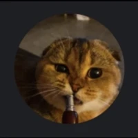 Kumar's profile picture