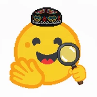 ISSAI-qolda-websearch's profile picture