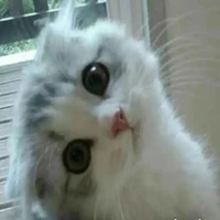 lnstrument's profile picture