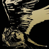 Raven's Nest's profile picture