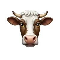 牛襄齐's profile picture