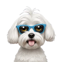 Yoo Ji Suh's profile picture