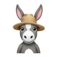 Hyemin Doo's profile picture