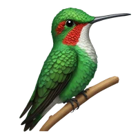 Mucha's profile picture