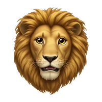 Loom's profile picture