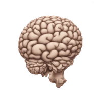 Jesus s cuevas's profile picture