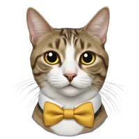 LilyLi's profile picture