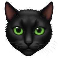 Marcel's profile picture