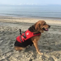 CARLOS NAJERA's profile picture