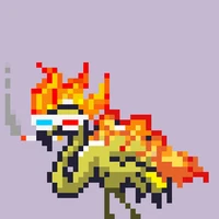 cjsa1's profile picture