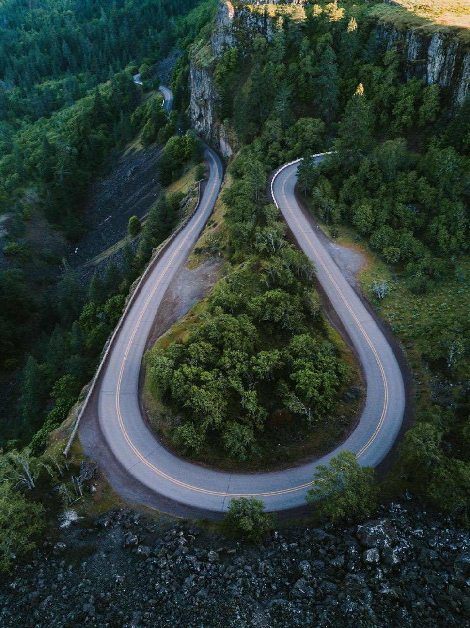 curving-road-through-lush-green-forest.jpg