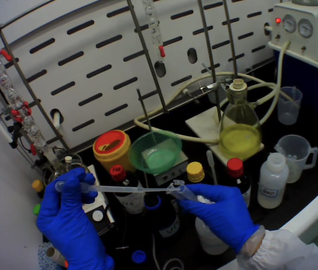 example 1 - a single frame from a video in the dataset