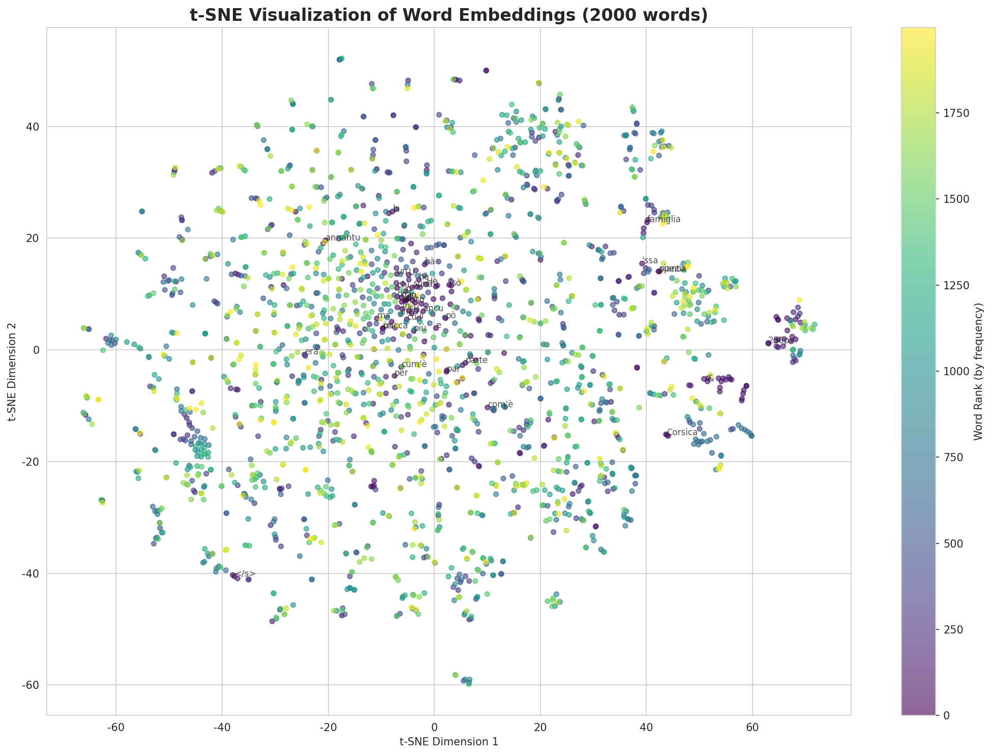 t-SNE Words
