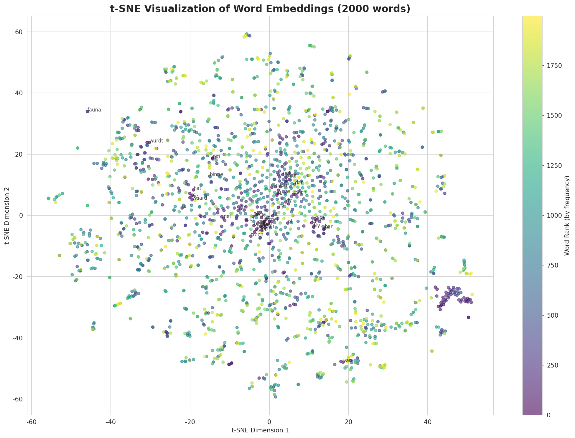 t-SNE Words
