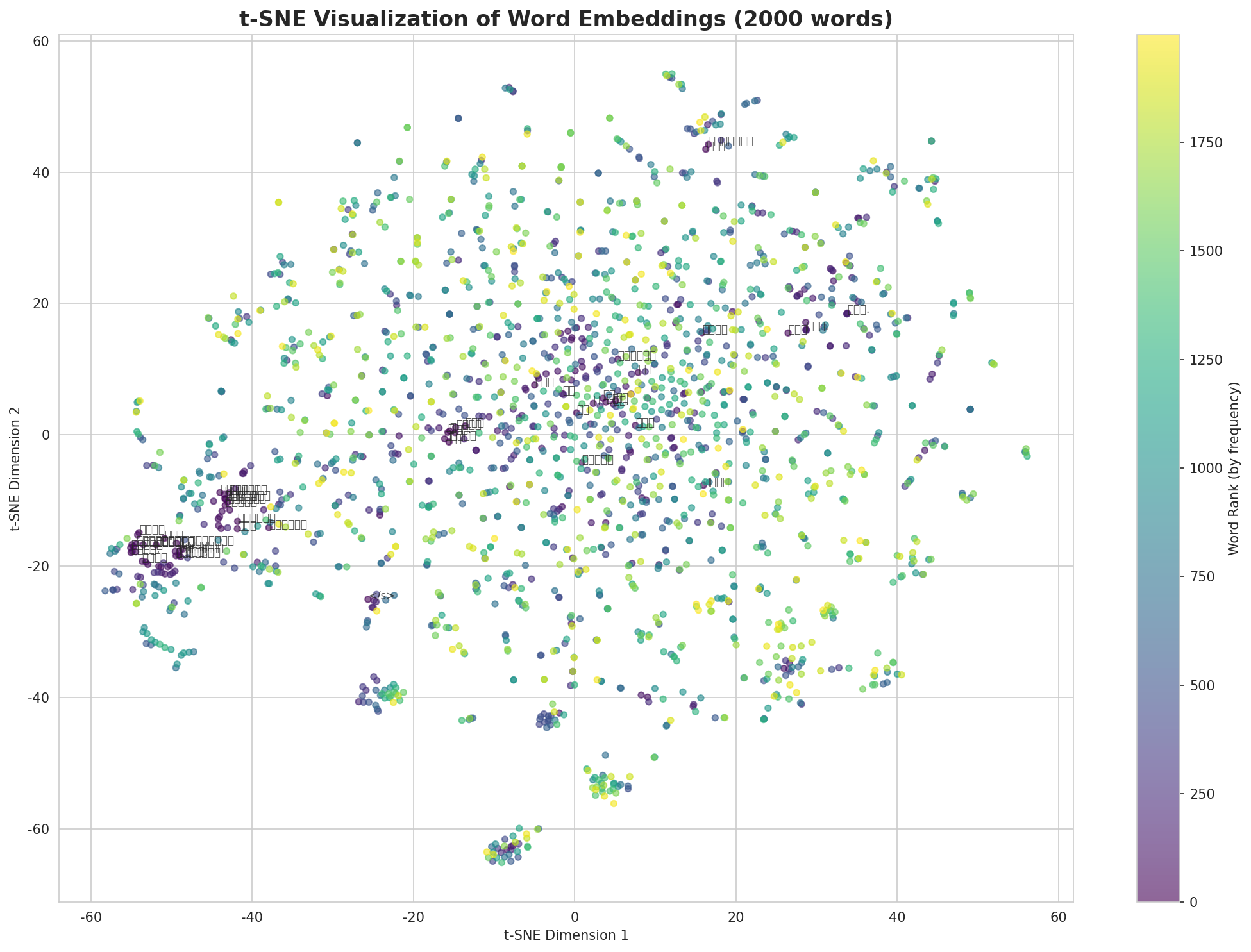 t-SNE Words