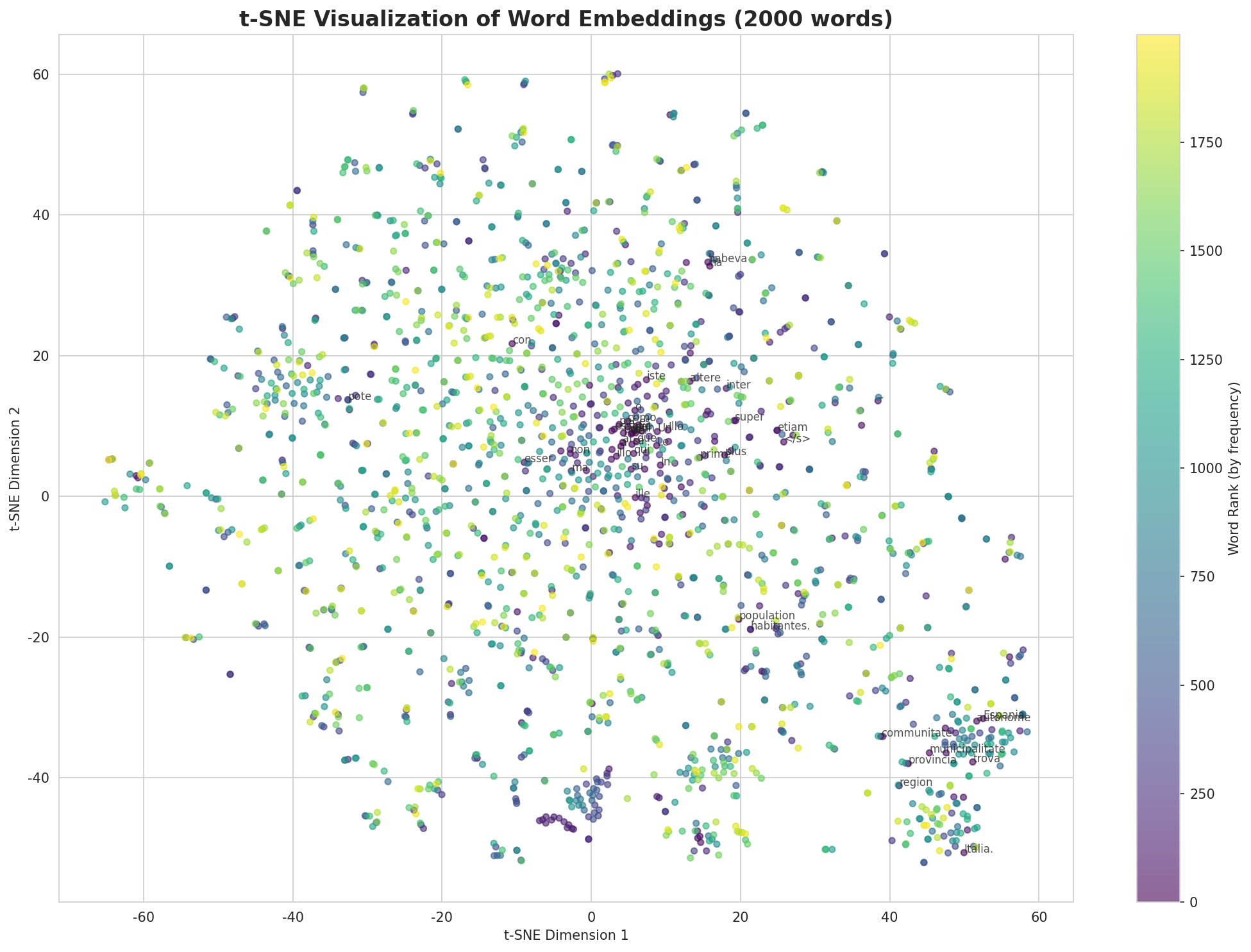 t-SNE Words