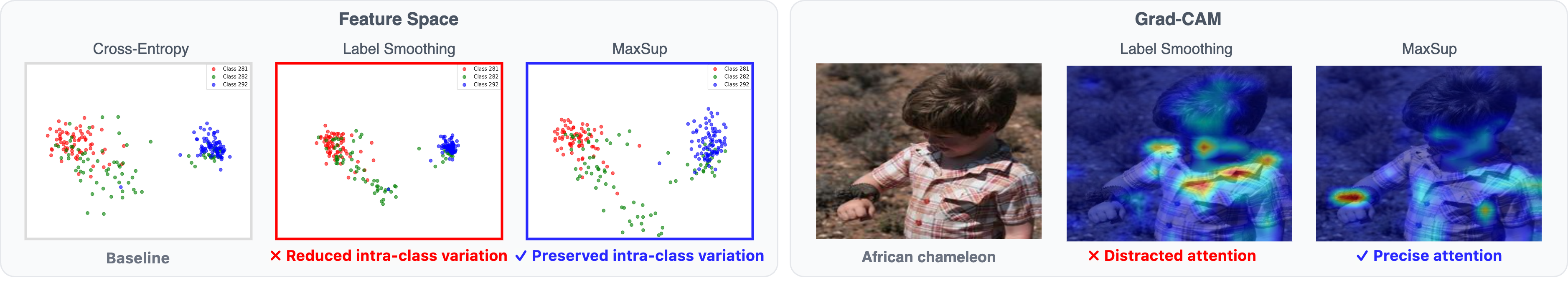 Improved Feature Representation